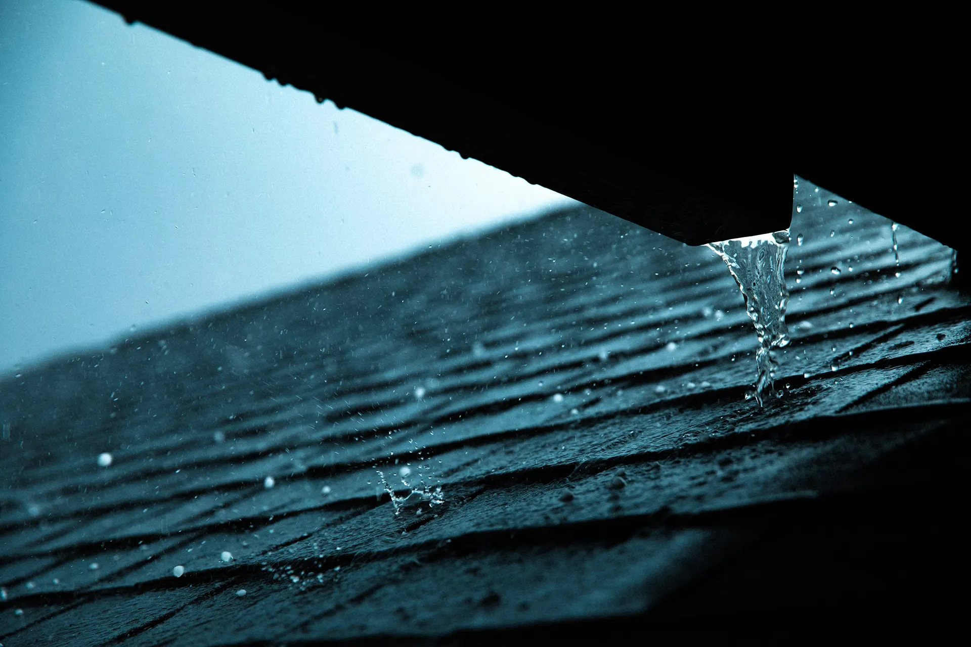 Residential roof and rain gutter